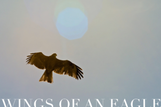 wings of an eagle