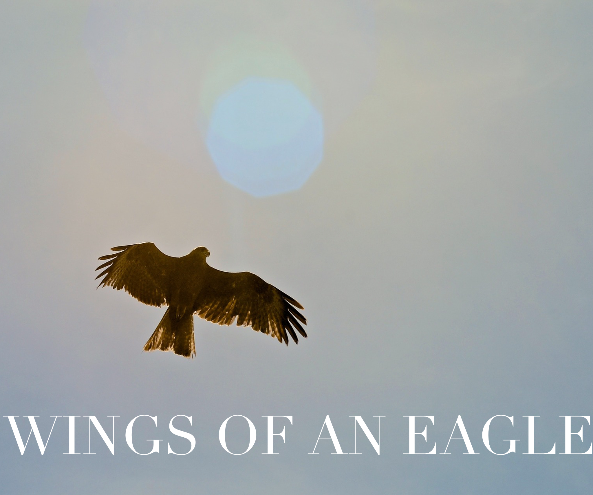 wings of an eagle