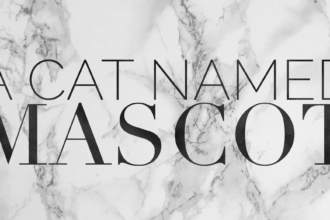 a cat named mascot
