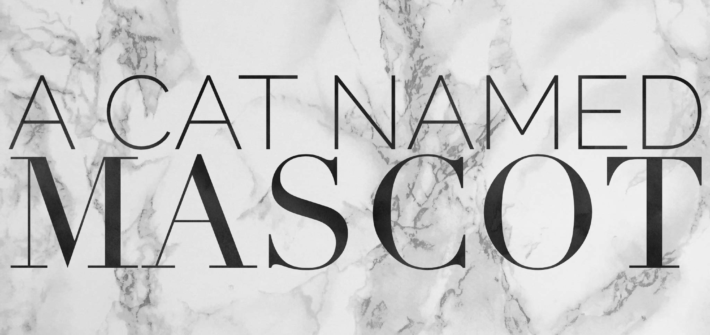 a cat named mascot