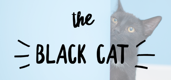 the black cat